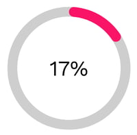 influencer campaigns